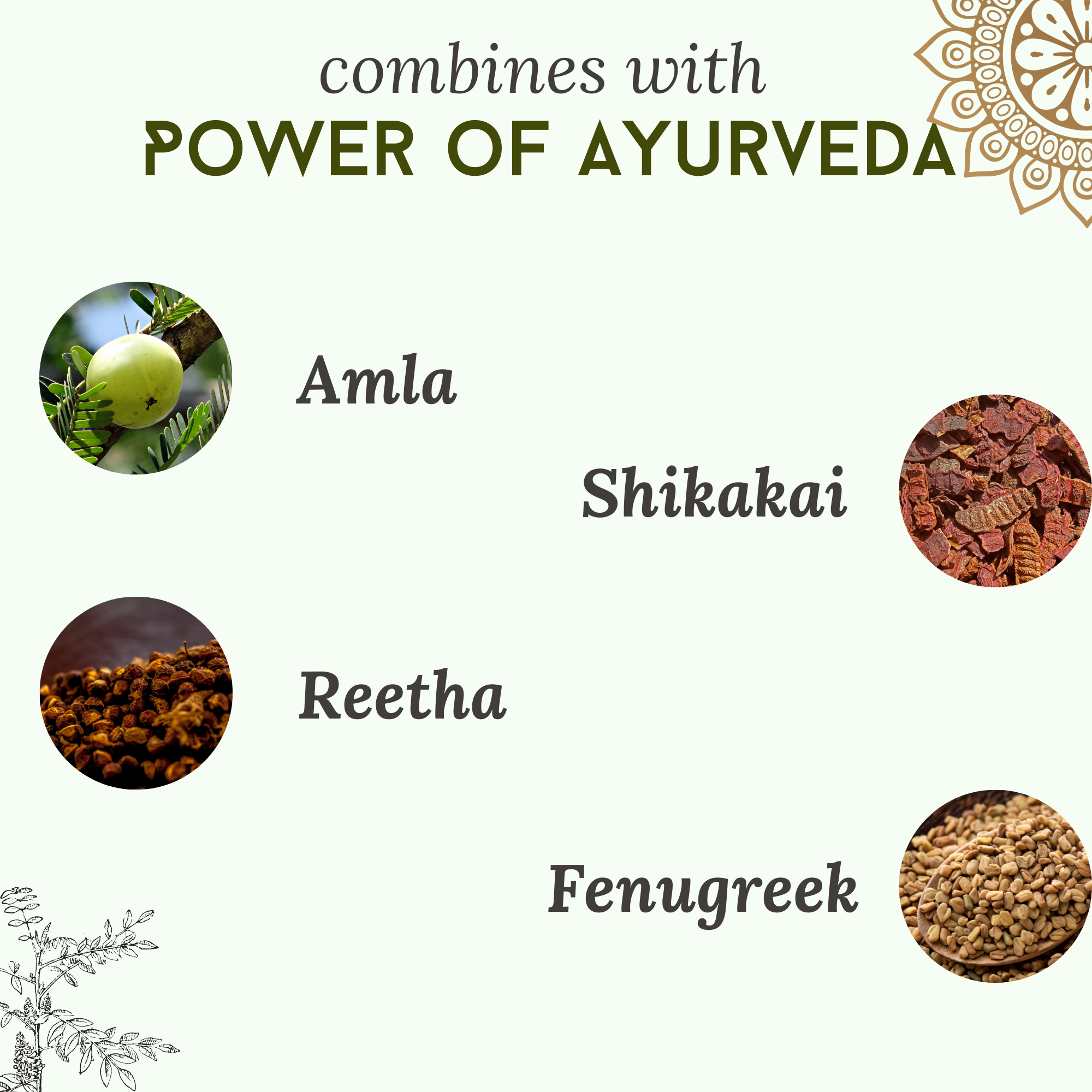 Natural Henna Powder (Kurvaka)