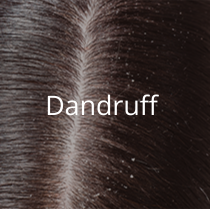 _brand